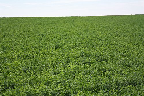 Property photo 30 - LAND AUCTION, 3255+/- Acres offered in 13 Tracts